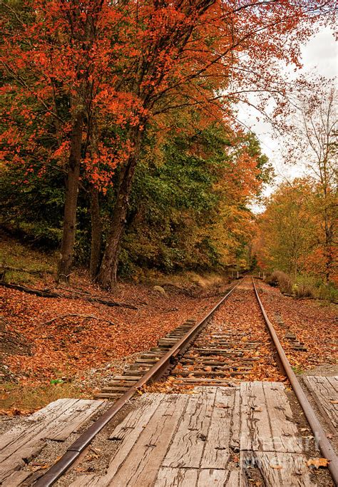 Fall Leaves And Train Track Wv Photograph By Kathleen K Parker Pixels