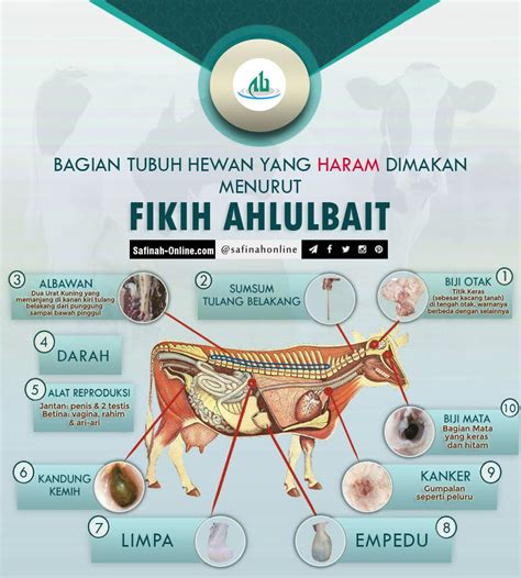 Ayat ruqyah paling manjur pengusir jin dan setan pengganggu manusia#ruqyah#pengajian#ayat pengusir jin#ayat pelebur setan#ayat alquran bikin hati tenangbantu. Infografis: Bagian Tubuh Hewan yang Haram Dimakan | Hewan ...