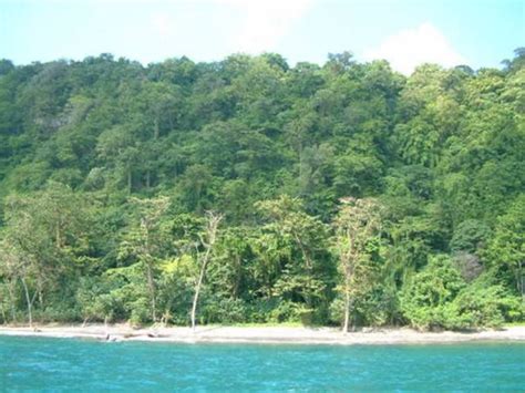 Taman Nasional dan Cagar Alam Utama di Indonesia