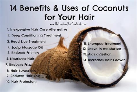 11 Core Functions Of Coconut Oil Use It Everywhere For Everything