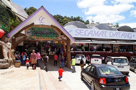 Ia membawa anda dalam satu underwater world langkawi merupakan salah satu akuarium air laut terbesar dan segar di asia tenggara. koleksi tempat menarik waktu malam di cameron highland ...