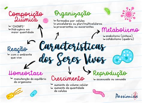 Mapas Mentais Sobre Caracter Sticas Dos Seres Vivos Study Maps