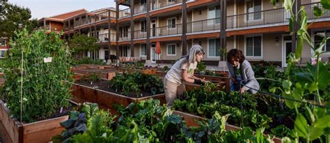 The Benefits And Challenges Of Communal Living And Co Housing