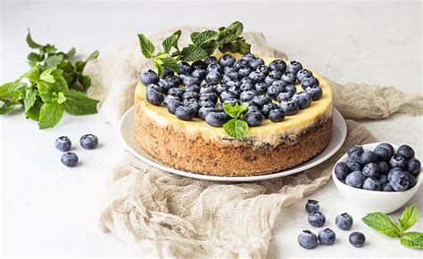 Food Cheesecake Berry Blueberry Cake Fruit Still Life Hd
