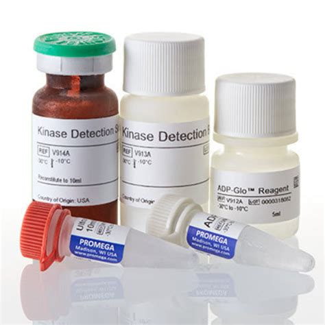 Medical Research Assay Kit Adp Glo Promega France For Biological Activity For Enzymes Atp