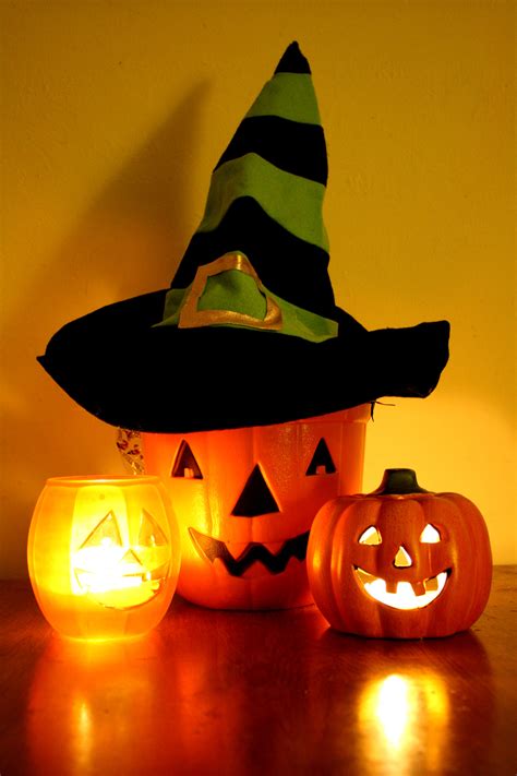 4.0 out of 5 stars 1,072. Halloween Jack-o-Lantern Bucket with Witch Hat and Candles ...