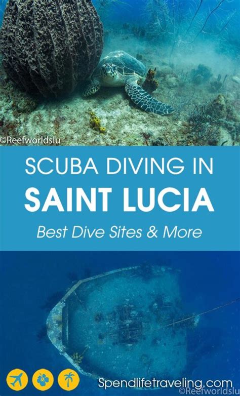Scuba Diving In Saint Lucia Everything You Need To Know