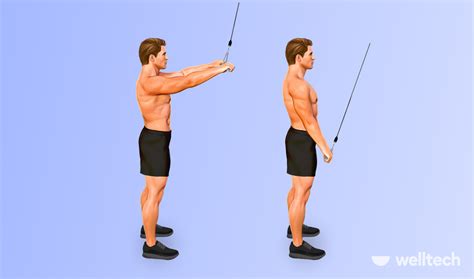 Killer Back Workouts With Cables For A Massive Upper Body Welltech