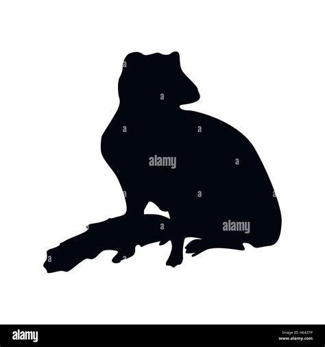 Meerkat Black Silhouette Stock Vector Image And Art Alamy
