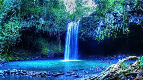 해변 하와이 마우이 섬 마우이 야자수 열대 숲 열대 물 폭포 Hd 배경 화면 Wallpaperbetter