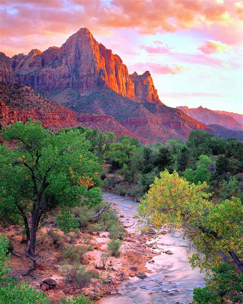 Usa Utah Zion National Park At Sunset Photograph By