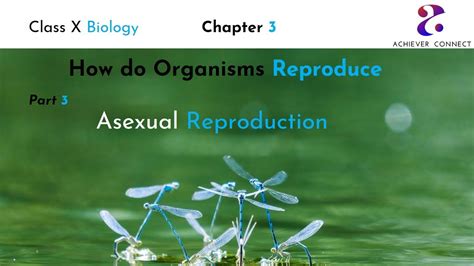How Do Organism Reproduce Part 03 Asexual Reproduction Class10th