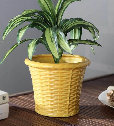 Buy the best and latest ceramic flower pots on banggood.com offer the quality ceramic flower pots on sale with worldwide free shipping. Buy Yellow Ceramic Bucket Shaped Flower Pot by Cdi Online ...