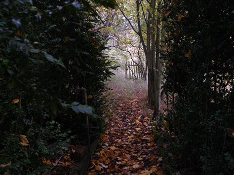 Check spelling or type a new query. Verwunschener Garten im Herbst Foto & Bild | jahreszeiten ...