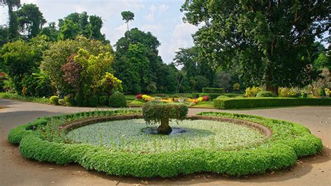 Peradeniya Botanical Garden Thingstodo Sri Lanka