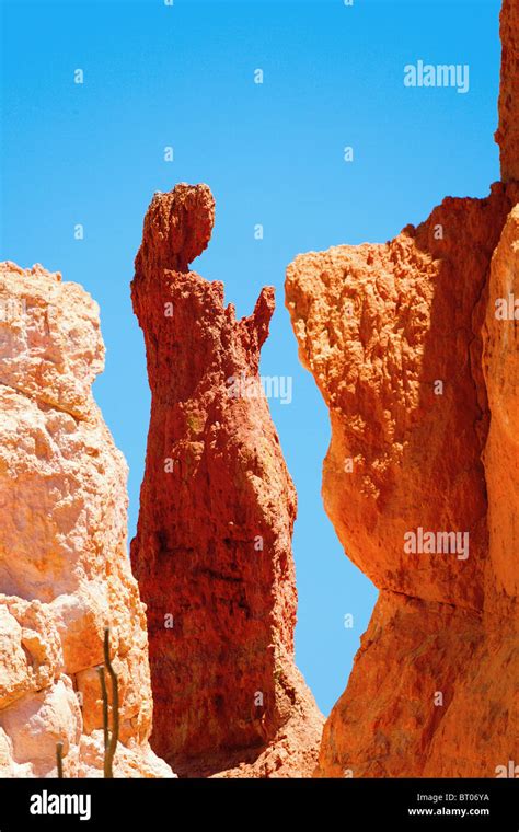 Unique Rock Formations In Bryce Canyon Stock Photo Alamy
