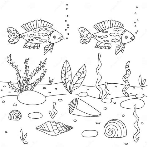 Vector Illustration With Algae Shell And Fish Sea Floor Cute Square