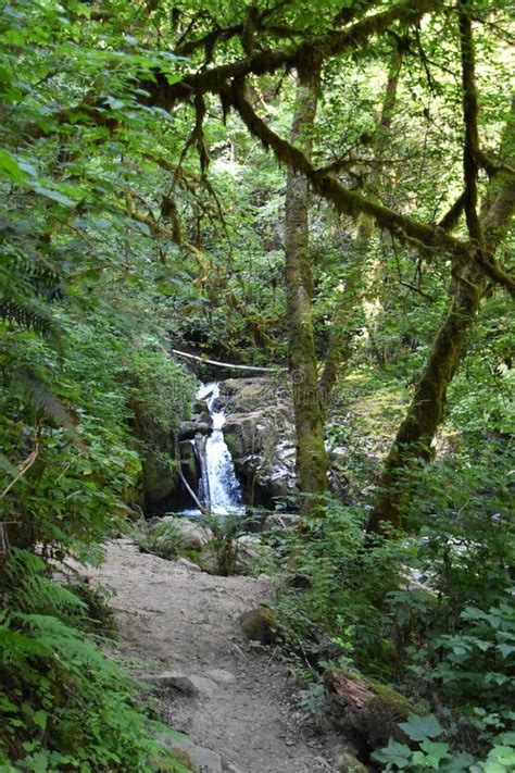 Sweet Creek Falls Waterfall Along Hiking Trail Complex Near Mapleton