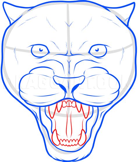How To Draw A Panther Face Black Panther Tattoo Step By Step Drawing