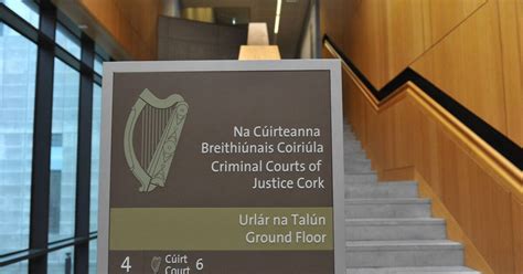 Shoplifter Released On Bail Caught Stealing Again Before End Of The Day Court Told