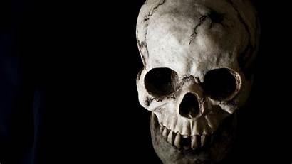 Skeleton Skull Wallpapers Background Cool Skulls Awesome