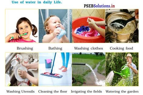 Pseb 3rd Class Evs Solutions Chapter 13 Water Basis Of Our Life