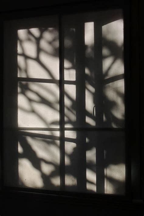 Blind Shadows Photograph By Denise Clark Pixels