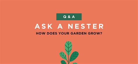 Ask A Nester How Does Your Garden Grow Nest Realty Blog