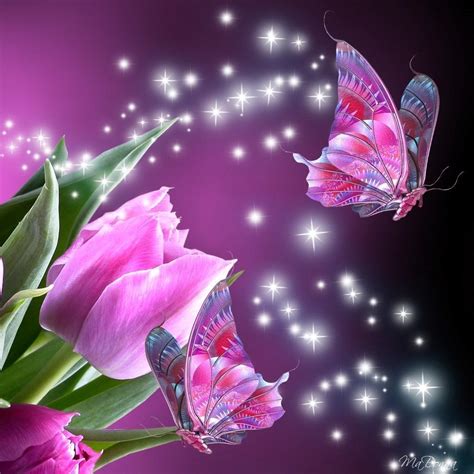 Image Result For Rainbows And Butterflies Wallpaper Butterfly
