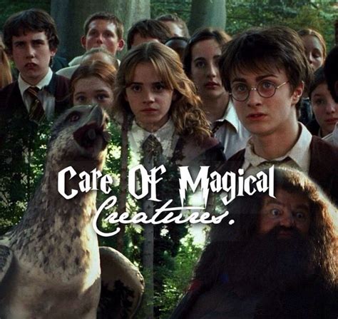 Care Of Magical Creatures Harry James Potter Phoenix Harry Potter