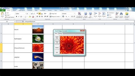 Insert picture in Excel cell automatically - Excel Image Assistant ...