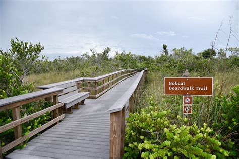 Shark Valley Trails Tips And Tricks Everglades National Park