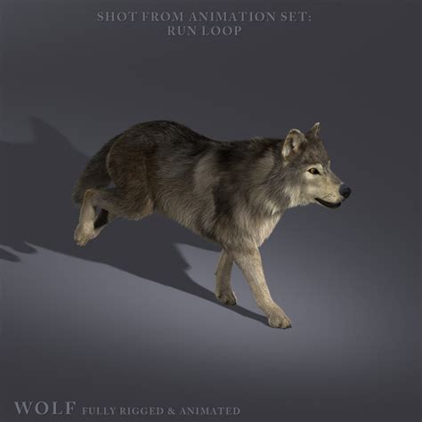 If you see a teenager with a disheveled mullet that moves like a windblown shag, it's probably a hairstyle known as the wolf cut. Shave and a Haircut: wolf