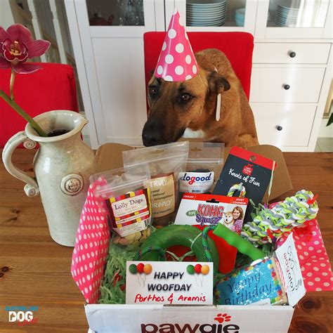 If you want to make the most of your dog's birthday, then here are food is often the path to a dog's heart, so consider giving your dog a special treat on his birthday. Pawgie Birthday Gift Box for Dogs | Australian Dog Lover