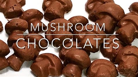 Magic Mushroom Chocolates Youtube