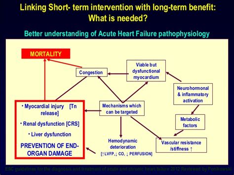 Heart failure (hf) can be defined as the inability of the heart to provide sufficient forward output to meet the perfusion and oxygenation requirements of the the pathophysiology of hf with preserved ejection fraction (hfpef) will be reviewed here. Acute Decompensated Heart Failure