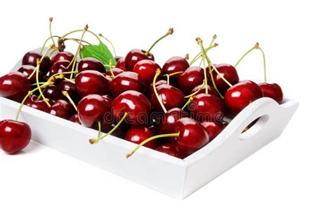 Crisp Red Cherries Stock Photo Image Of Green Cherries 85756454
