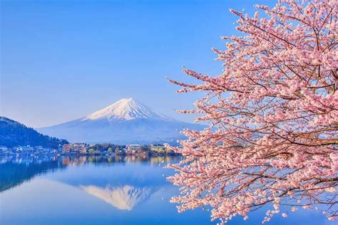 Japón En Primavera Guía De Viaje Con Festivales Cerezos En Flor Y Más