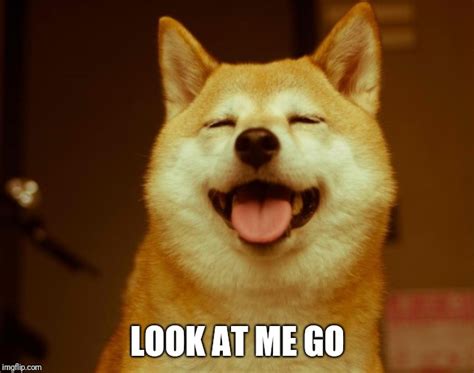 Image Tagged In Happy Doge Imgflip