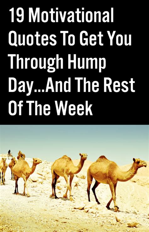 Hump Day Motivational Work Quotes