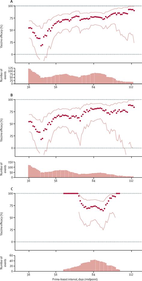 Single Dose Administration And The Influence Of The Timing Of The