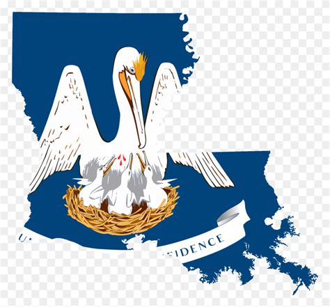 Flag Map Of Louisiana Accurate Louisiana Symbol Bird Animal Poster