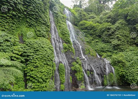 Secret Jungle Waterfall Cascade In Tropical Rainforest With Rock Stock