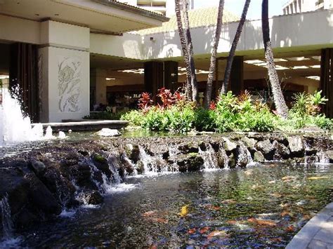 Koi Pond Picture Of Hilton Hawaiian Village Waikiki Beach Resort