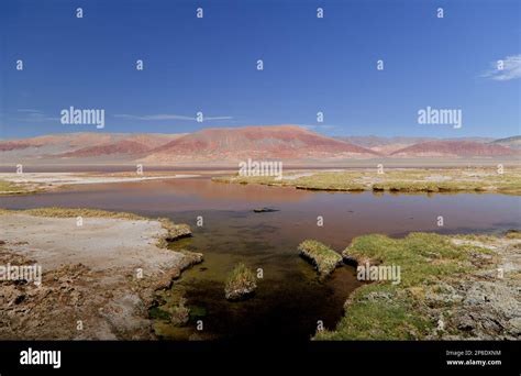 The Carachi Pampa Lagoon Biosphere Reserve Argentina Stock Photo Alamy