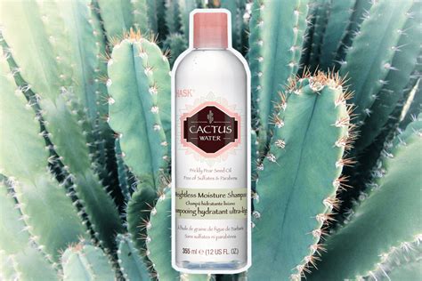 Understanding the water requirements of your cactus is important. Hask Cactus Water Weightless Moisture Shampoo Product ...