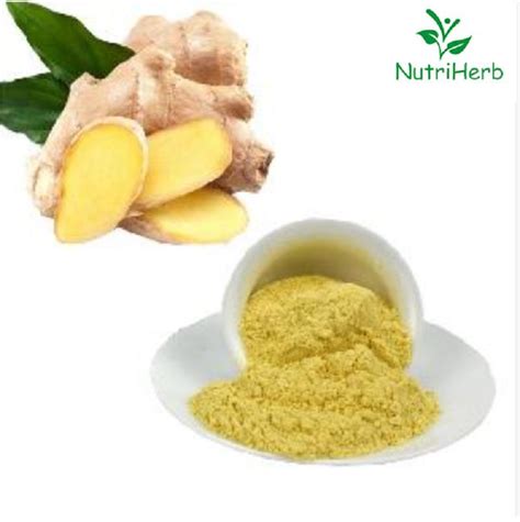 Wholesale Ginger Extract Gingerols 5 20 Test By Hplc China