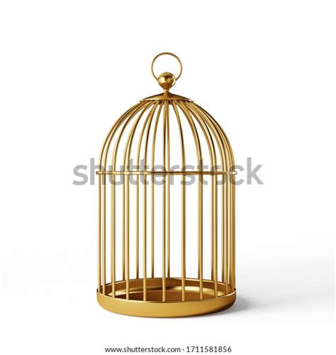 1100 3d Bird Cage Images Stock Photos And Vectors Shutterstock