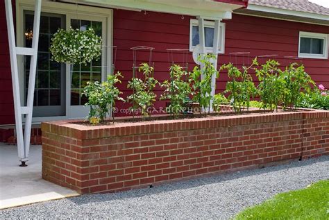 Hold the line in place with bricks. brick Raised Vegetable Beds | Tomatoes in raised garden ...
