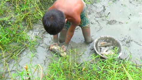 Best Hand Fishing Asian Traditional Hand Fish Catching In Cannel